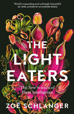 The Light Eaters