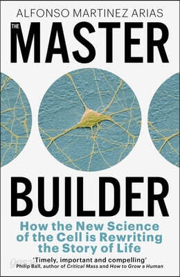 The Master Builder