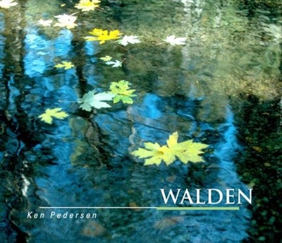 켄 페더슨 (Ken Pedersen) - Walden  (미개봉)