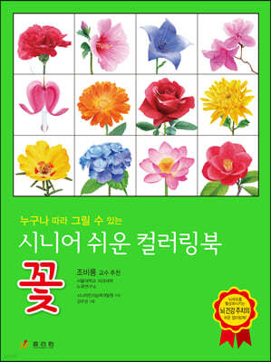 시니어 쉬운 컬러링북 : 꽃