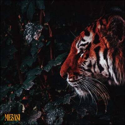 Mesani — Jungle EP + Singles 앨범 커버