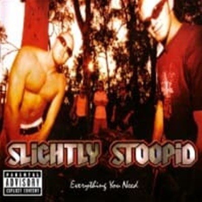 Slightly Stoopid / Everything You Need (수입)