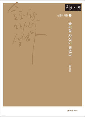 슬퍼할 자신이 생겼다 (큰글자책)