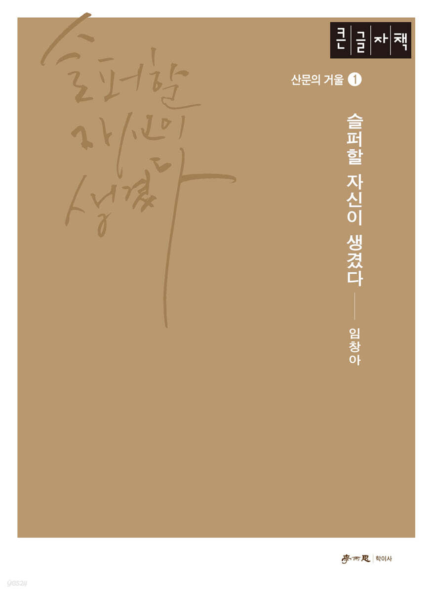 슬퍼할 자신이 생겼다 (큰글자책)