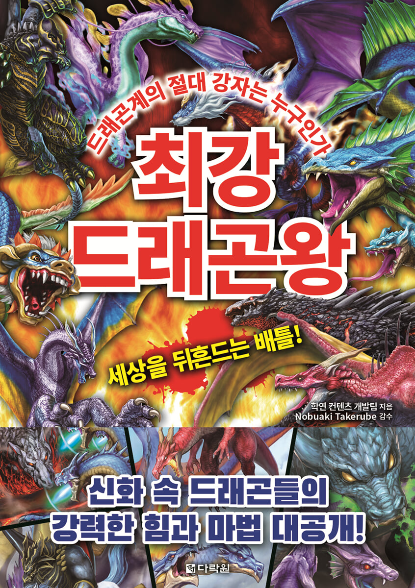 최강 드래곤왕