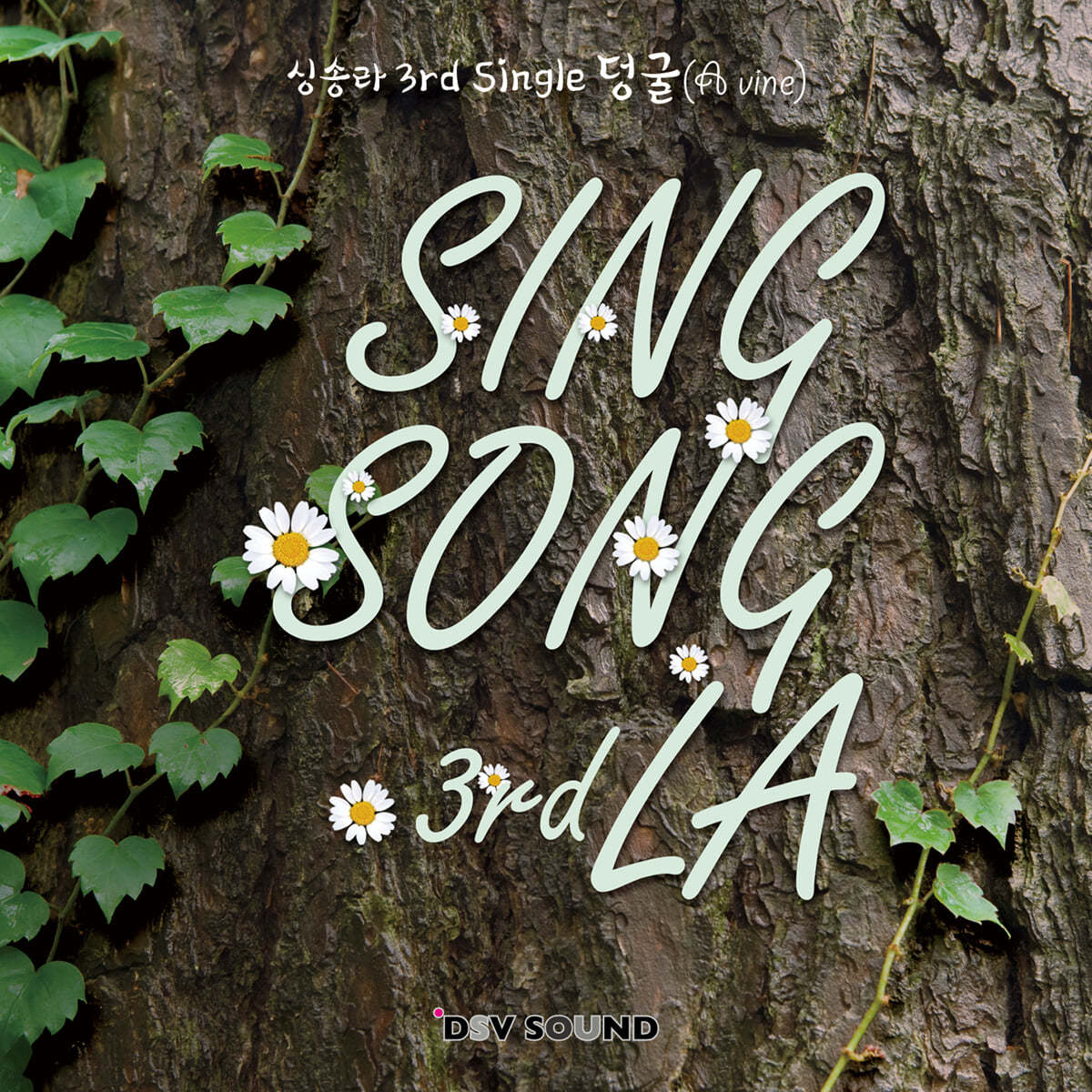 싱송라 (SingSong La) - 덩굴 (A vine)