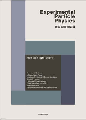 Experimental Particle Physics   