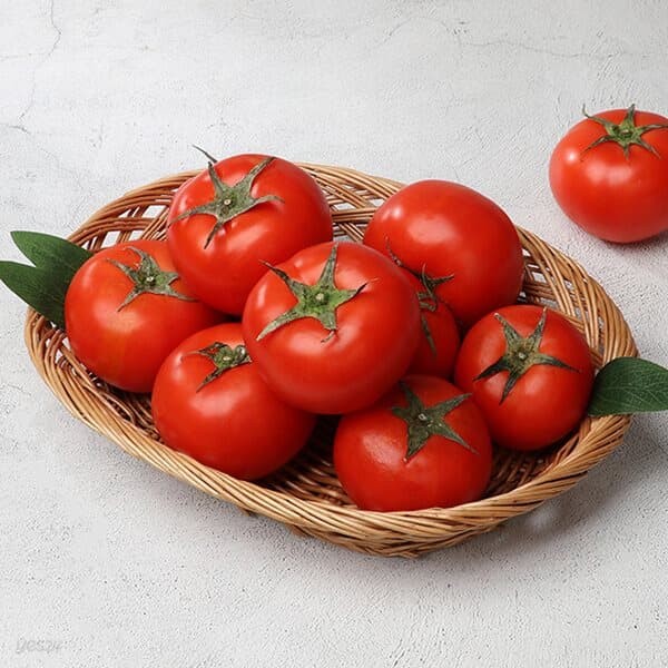 [과일愛]달콤가득 과일 토마토 1kg (9~10과)