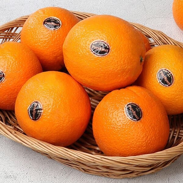 [과일愛]달콤가득 과일 퓨어스펙 오렌지 1.5kg (6~7과)