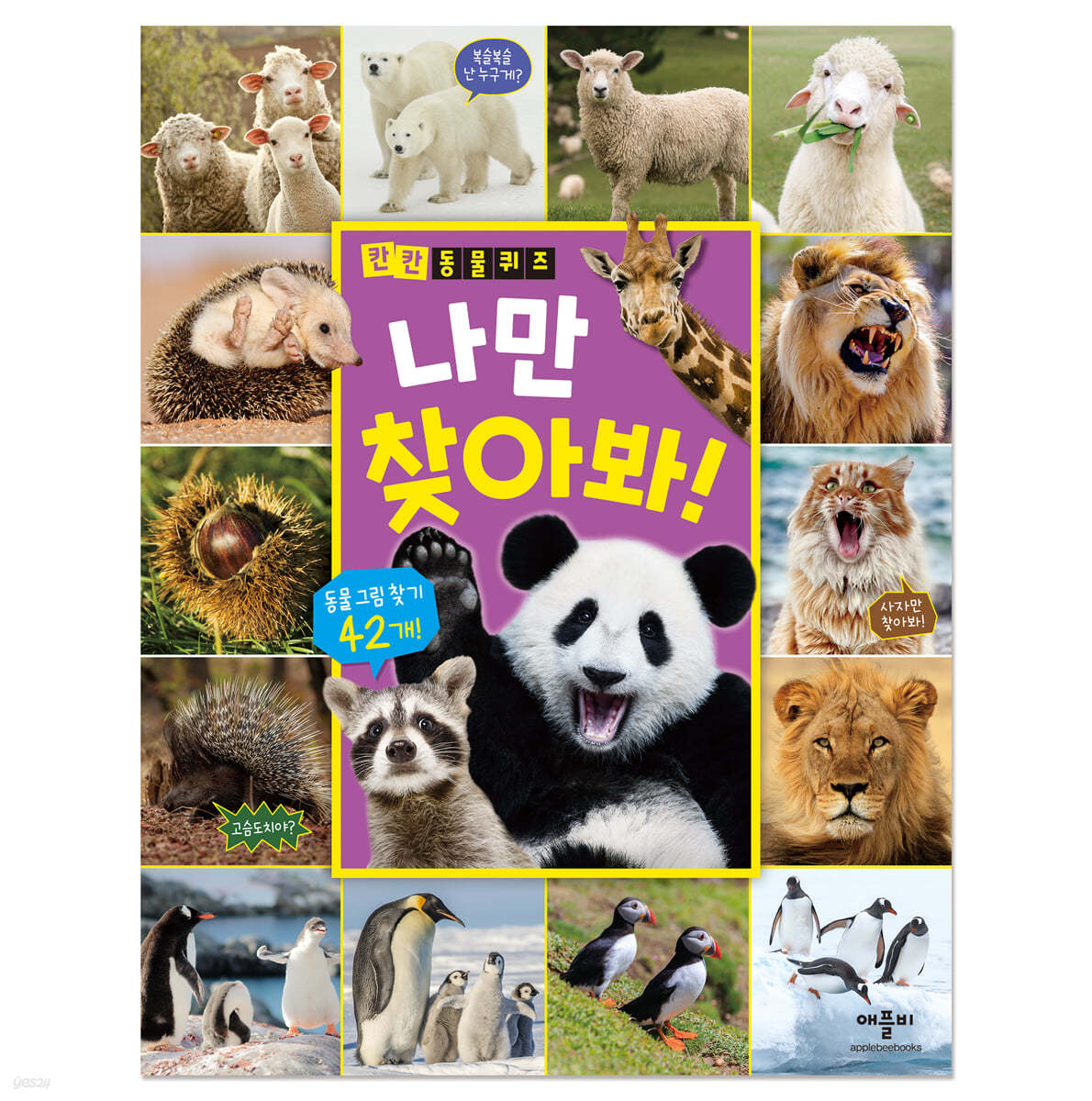 칸칸 동물 퀴즈 나만 찾아봐!
