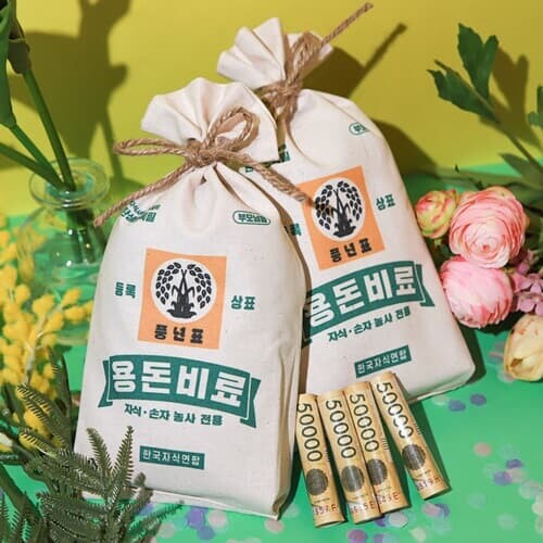 비료 용돈 돈 현금 봉투 [효도 반전 용돈 이벤트 박스 어버이날 선물 부모님 생일 생신 포장]