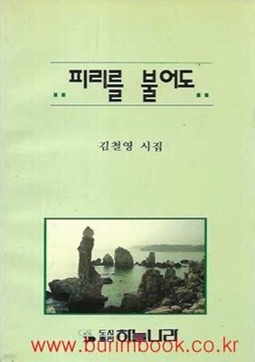 1995년 초판 김철영 시집 피리를 불어도