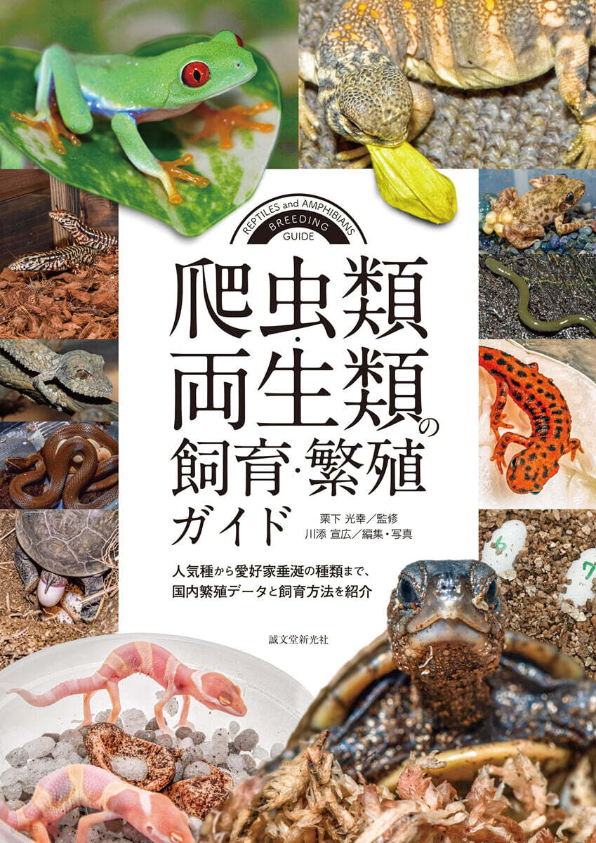 爬蟲類.兩生類の飼育.繁殖ガイド