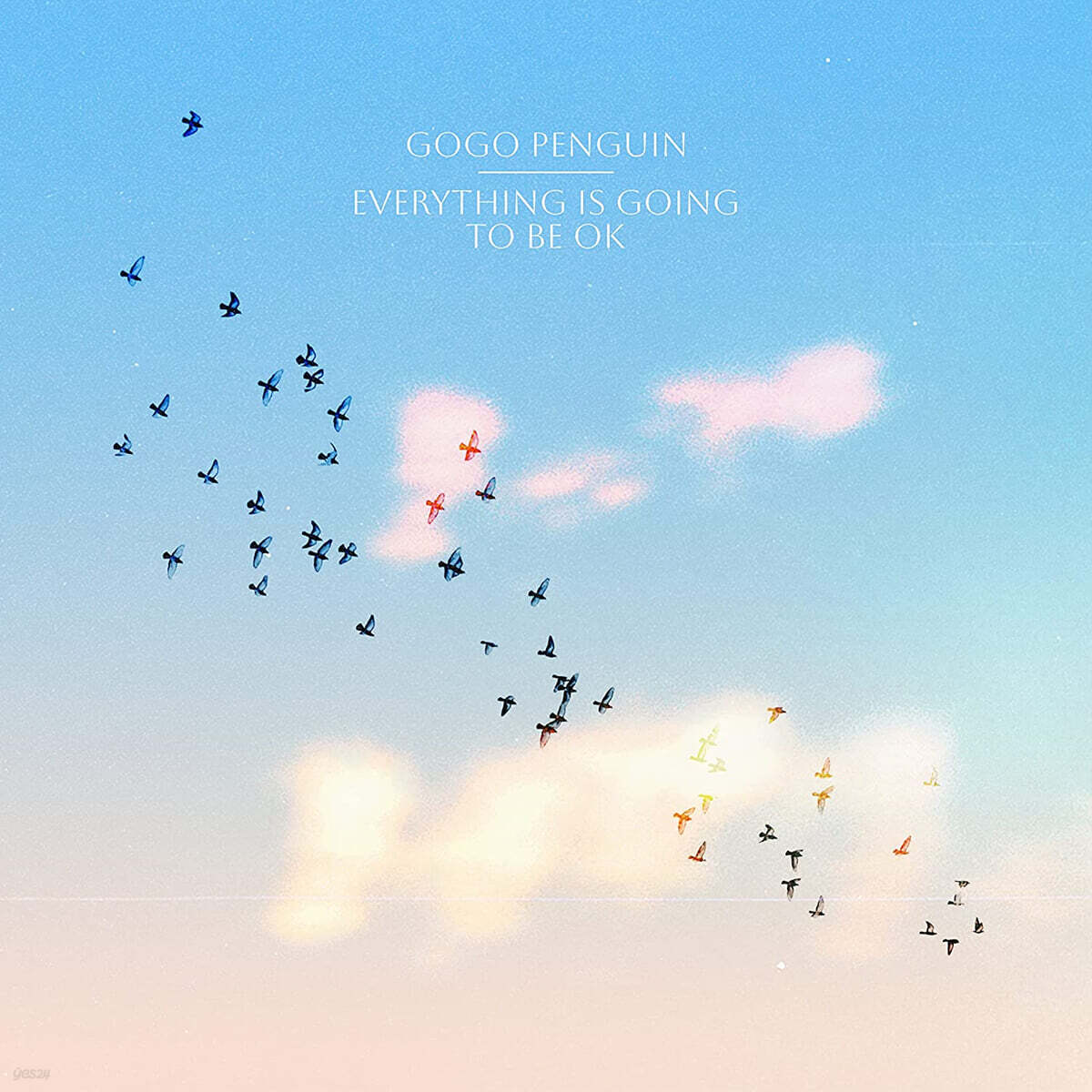 GoGo Penguin (고고 펭귄) - Everything Is Going to Be OK