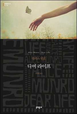 디어 라이프 - 세계문학전집 113