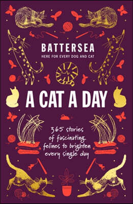 The Battersea Dogs and Cats Home - A Cat a Day