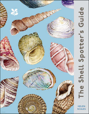 The Shell Spotters Guide