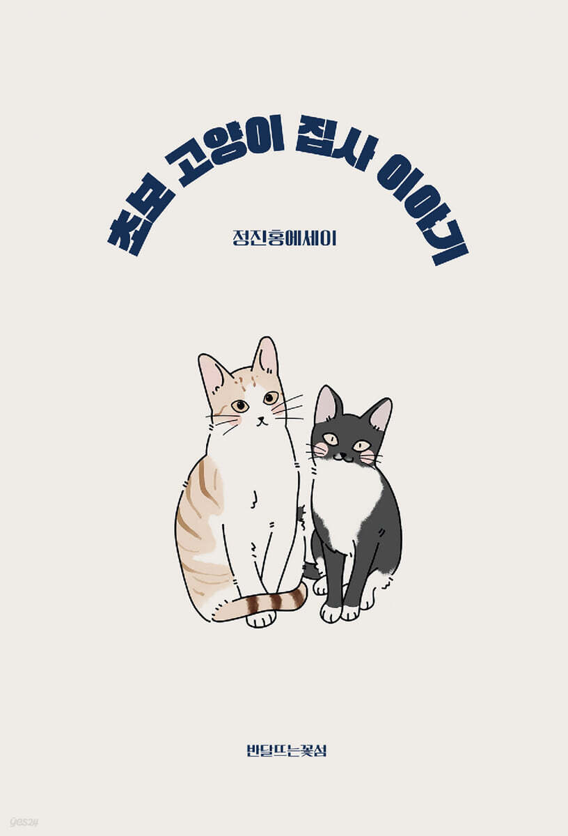 초보 고양이 집사 이야기