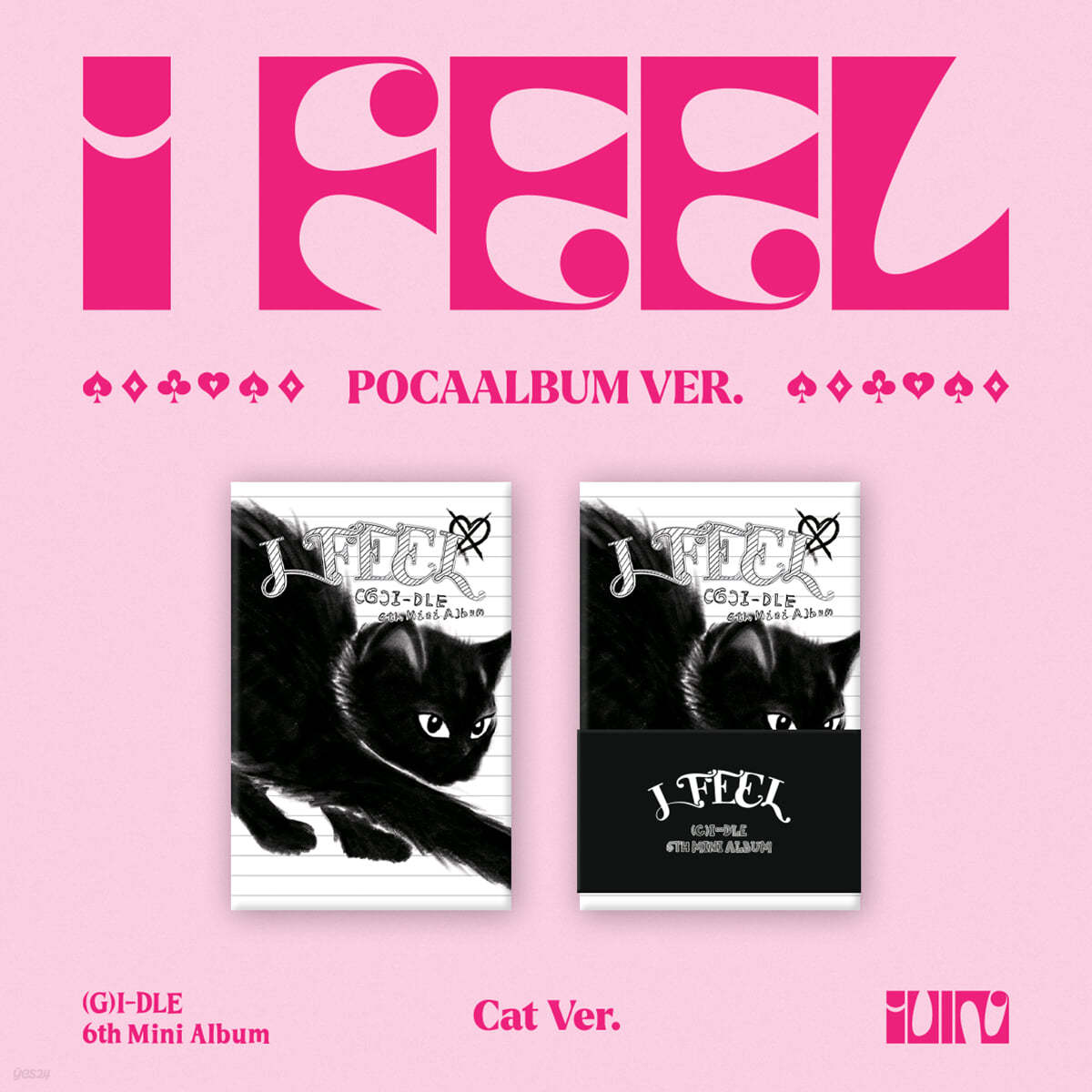 (여자)아이들 - 미니앨범 6집 : I feel [PocaAlbum Ver.][Cat Ver.]