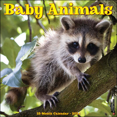 Baby Animals 2024 12 X 12 Wall Calendar