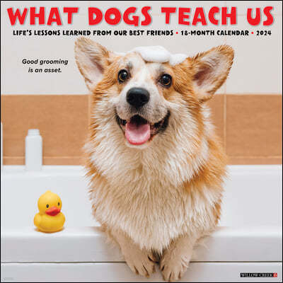 What Dogs Teach Us 2024 12 X 12 Wall Calendar