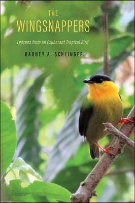 The Wingsnappers: Lessons from an Exuberant Tropical Bird