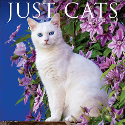 Just Cats 2024 12 X 12 Wall Calendar