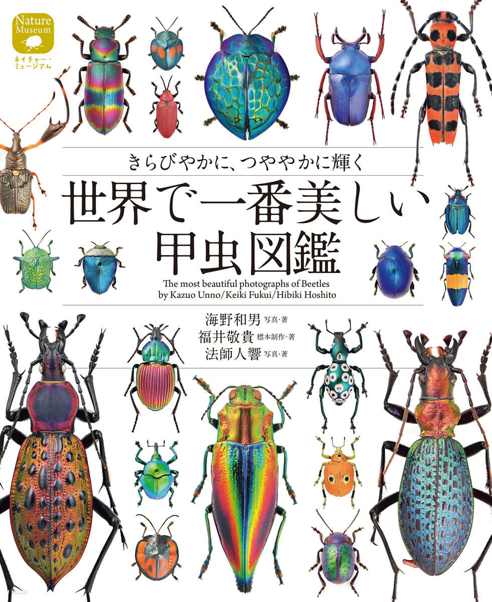 世界で一番美しい甲蟲圖鑑