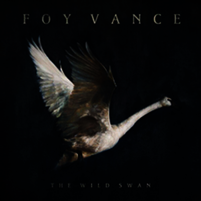 Foy Vance — Wild Swan 앨범 커버