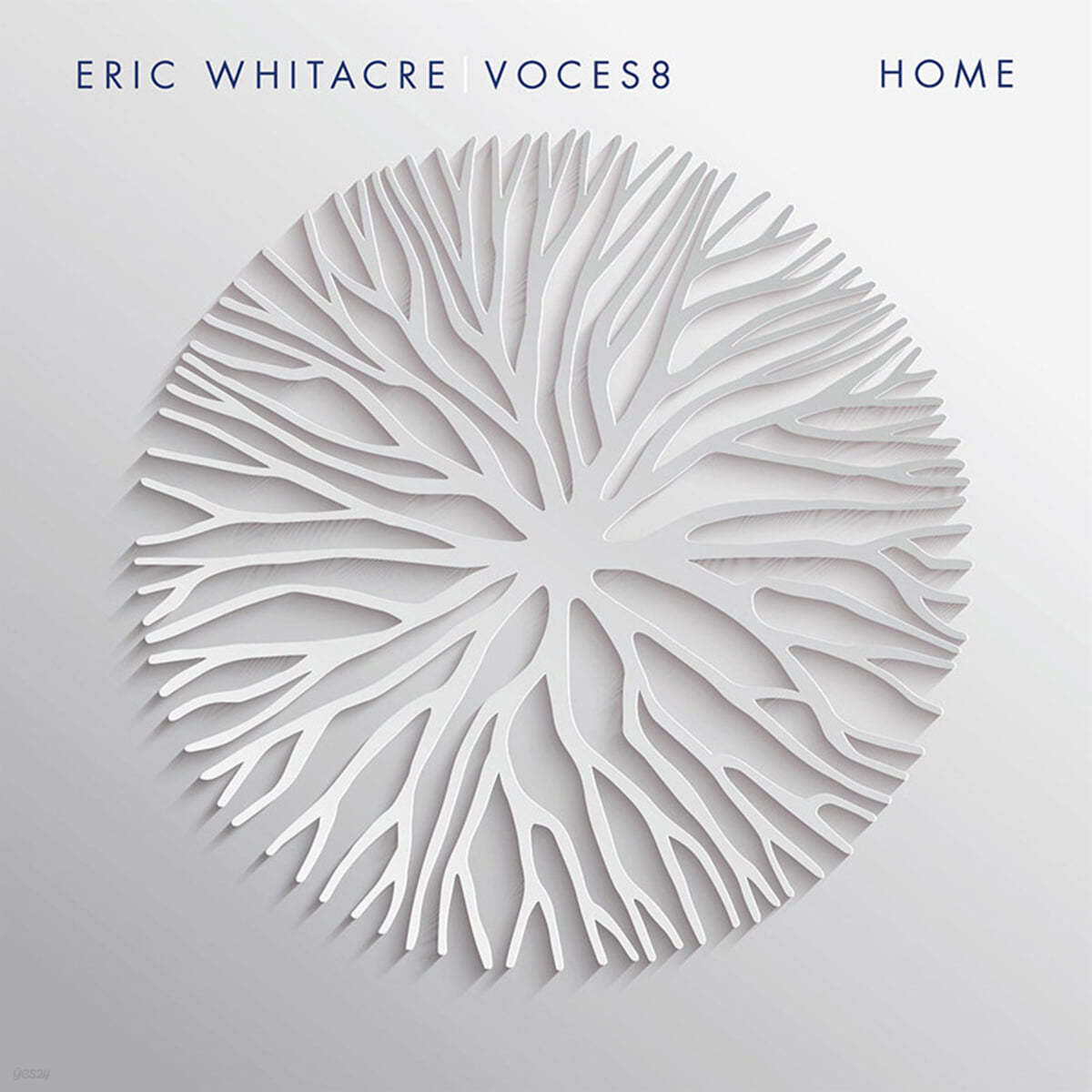 Eric Whitacre 에릭 휘태커 & 보컬 앙상블 보체스8의 프로젝트 앨범 (Home) [2LP]