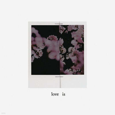  (Owen) - love is