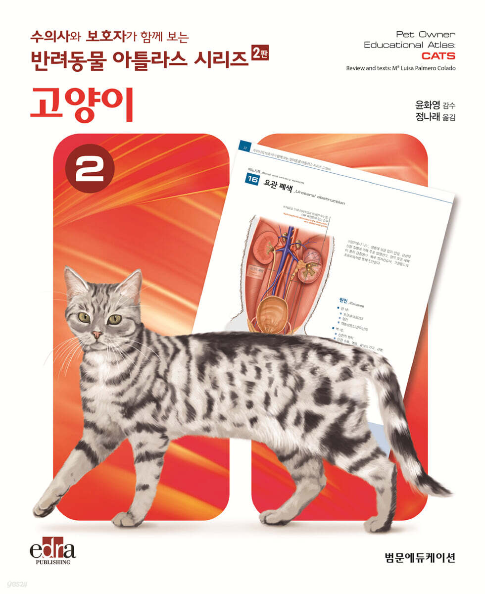 수의사와 보호자가 함께 보는 반려동물 아틀라스 시리즈 : 고양이 | Ma Luisa Palmero | 범문에듀케이션 - 예스24