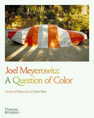 Joel Meyerowitz: A Question of Color
