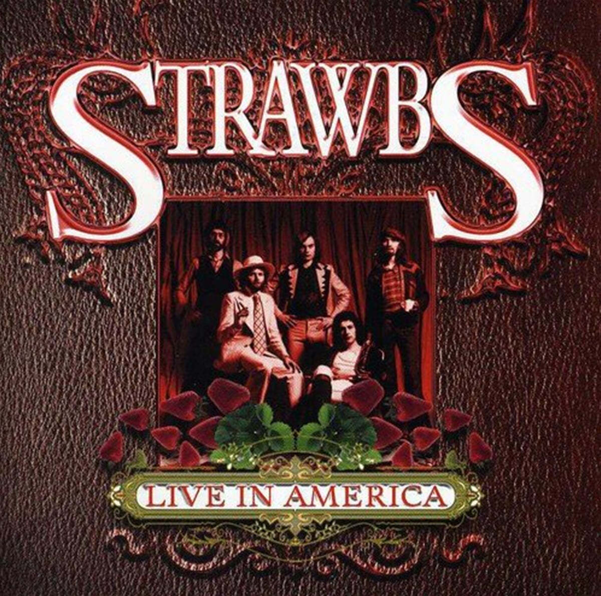 Strawbs (스크롭스) - Live In America