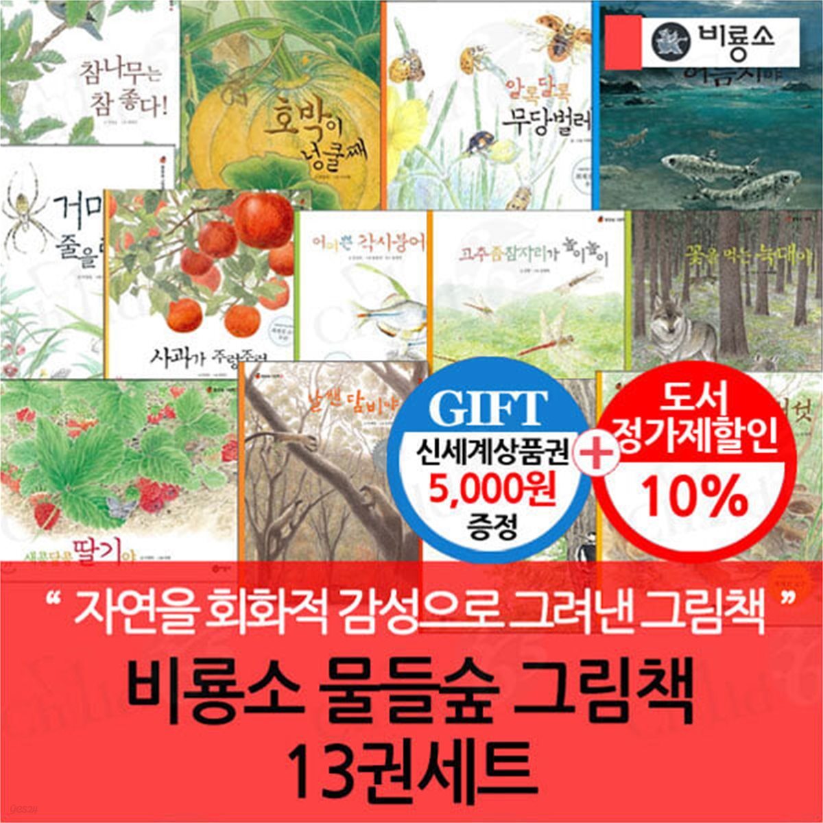 비룡소 물들숲 그림책 13권세트/상품권5천