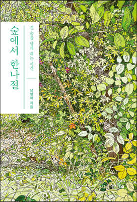 숲에서 한나절 (큰글자도서)