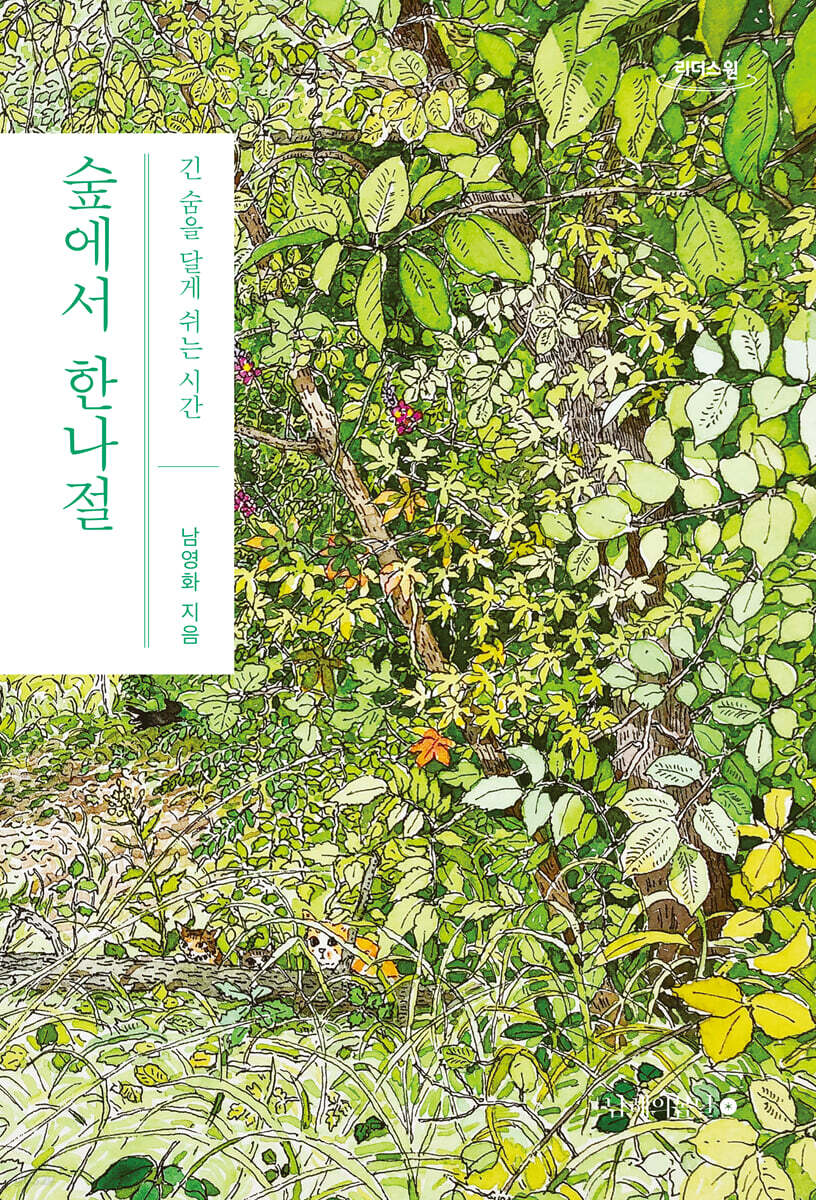 숲에서 한나절 (큰글자도서)