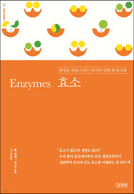 책 정보
