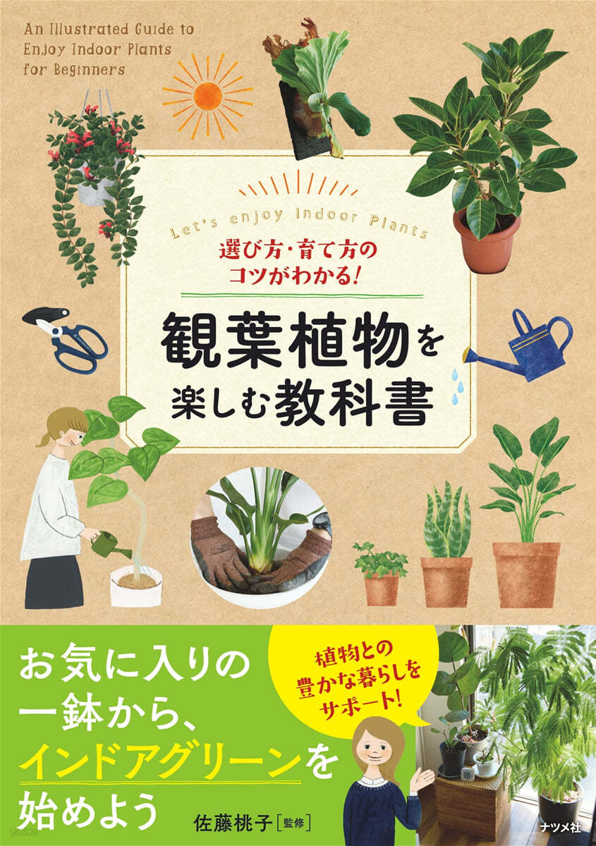 觀葉植物を樂しむ敎科書