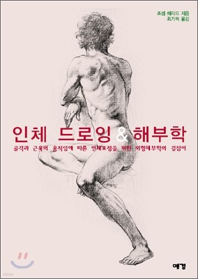 인체 드로잉 & 해부학