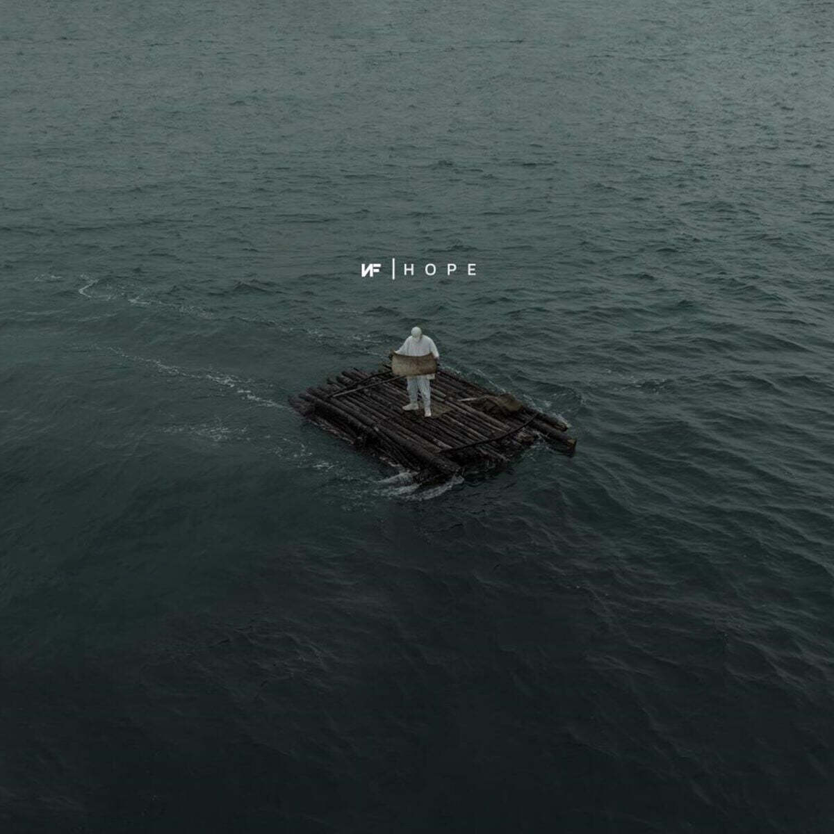 NF (엔에프) - Hope [화이트 컬러 2LP]