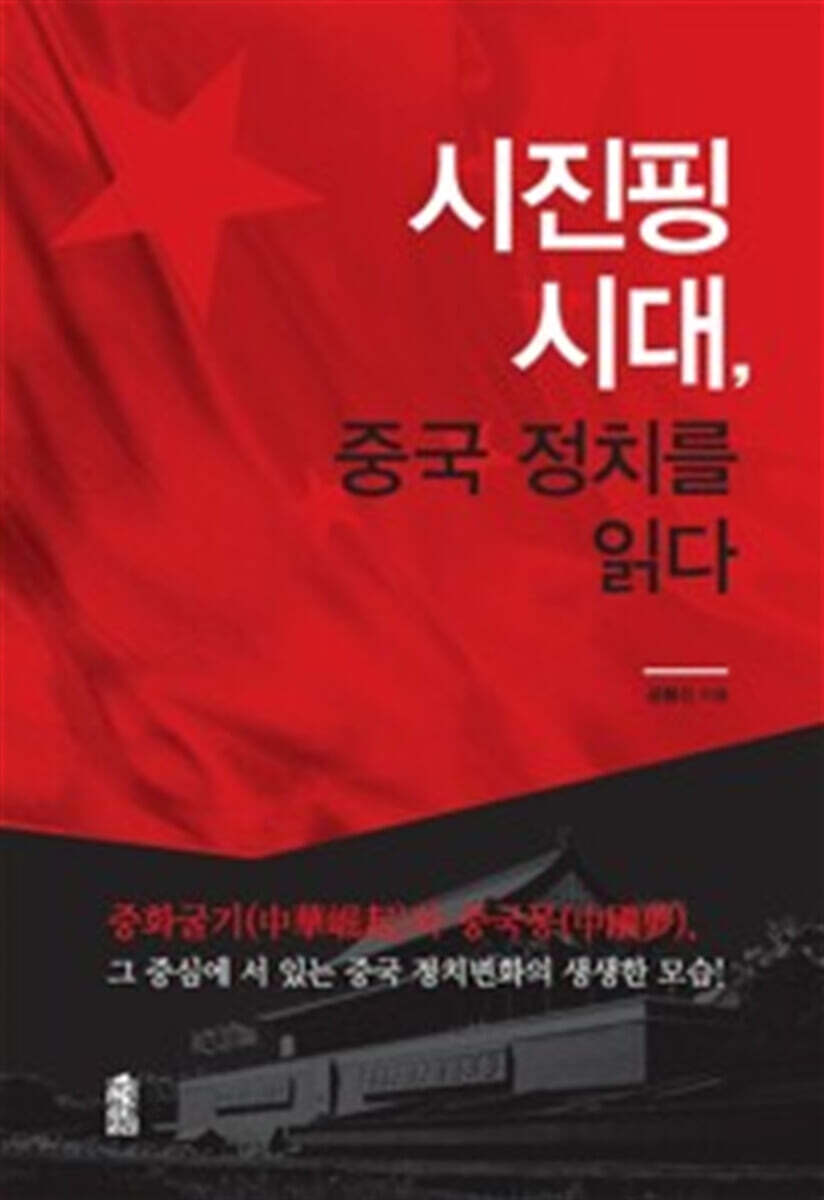 시진핑 시대, 중국 정치를 읽다 (큰글자도서)