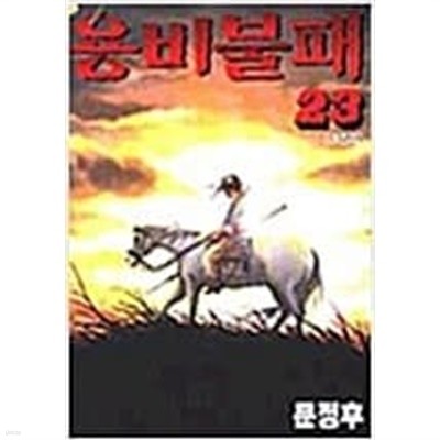 용비불패 1-23, 외전 1-12완