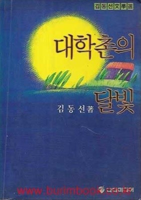 1991년 초판 김동선 문학선 대학촌의 달빛