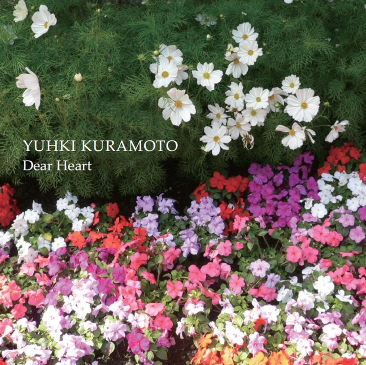 Yuhki Kuramoto (유키 구라모토) - Dear Heart