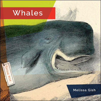 Whales