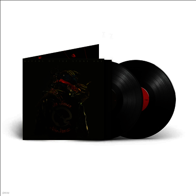 Queens Of The Stone Age — In Times New Roman... 앨범 커버