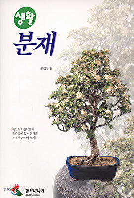 생활 분재