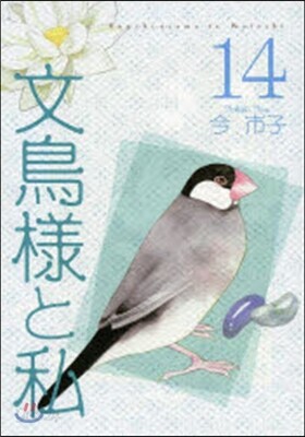 文鳥樣と私  14