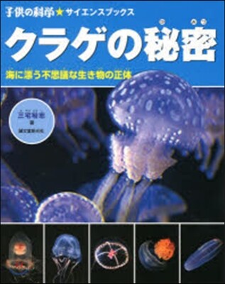 クラゲの秘密 海に漂う不思議な生き物の正